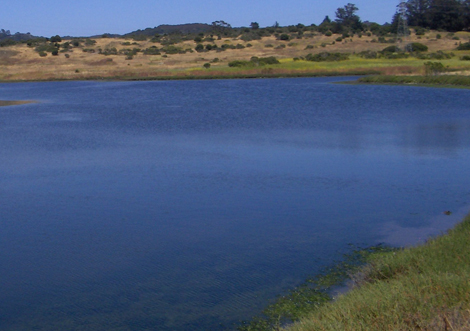 Blue Skies over Elkhorn Slough lagoon